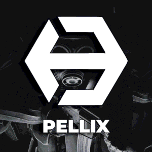 Pellix CS2 cheat - buy Pellix for Counter-Strike 2